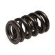 Části motoru Manley Valve Spring 1.610 DOUBLE | race-shop.cz