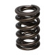 Části motoru Manley Valve Spring 1.610 DOUBLE | race-shop.cz