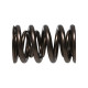 Části motoru Manley Valve Spring 1.610 DOUBLE | race-shop.cz