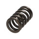Části motoru Manley Valve Spring HONDA K20A3/K24A | race-shop.cz
