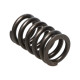 Části motoru Manley Valve Spring HONDA K20A3/K24A | race-shop.cz