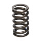 Části motoru Manley Valve Spring HONDA K20A3/K24A | race-shop.cz