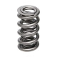 Části motoru Manley Valve Spring 1.550 DOUBLE | race-shop.cz