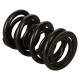Části motoru Manley Valve Spring 1.650 DOUBLE | race-shop.cz