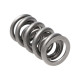 Části motoru Manley Valve Spring 1.540 DOUBLE | race-shop.cz