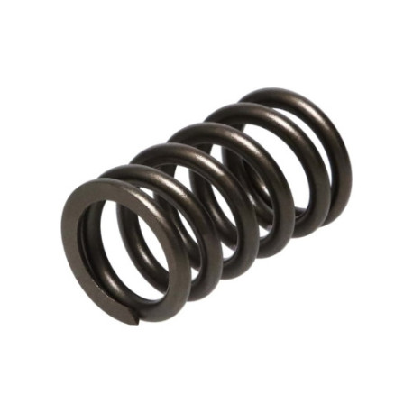 Části motoru Manley Valve Spring NISSAN SR20DE/SR20DET | race-shop.cz