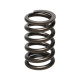 Části motoru Manley Valve Spring NISSAN SR20DE/SR20DET | race-shop.cz
