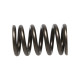 Části motoru Manley Valve Spring NISSAN SR20DE/SR20DET | race-shop.cz