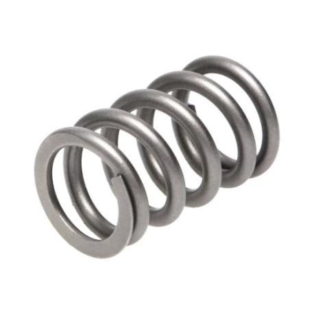 Části motoru Manley Valve Spring SUBARU WRX | race-shop.cz