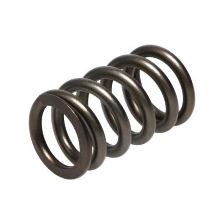 Části motoru Manley Valve Spring DODGE SRT-4 | race-shop.cz