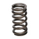 Části motoru Manley Valve Spring MITSUBISHI 4B11T | race-shop.cz