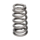 Části motoru Manley Valve Spring FORD/MAZDA 2.3L | race-shop.cz