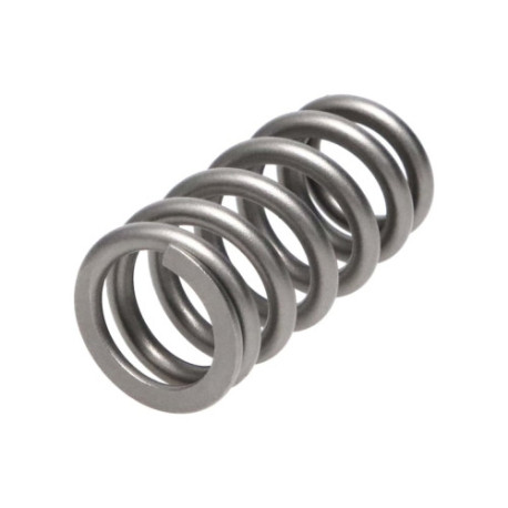 Části motoru Manley Valve Spring FORD/MAZDA 2.3L | race-shop.cz