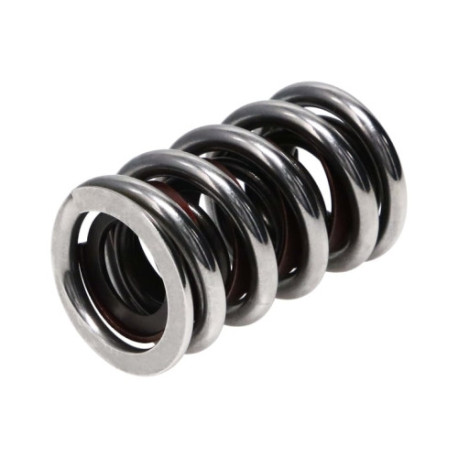 Části motoru Manley Valve Spring 1.550 CHR SIL | race-shop.cz