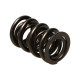 Části motoru Manley Valve Spring Kit NexTek Spring | race-shop.cz