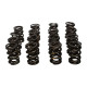 Části motoru Manley Valve Spring Kit NexTek Spring | race-shop.cz