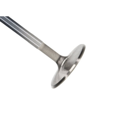 Části motoru Manley Ford 4.6 Modular Int Valve Kit 46.83mm x 4630 x .2750 | race-shop.cz
