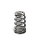 Části motoru SUPERTECH Valve Spring Set BMW S85 | race-shop.cz