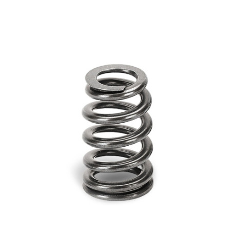 Části motoru SUPERTECH Valve Spring Set BMW B48/Ford 2.0/2.3 EcoB 72lbs | race-shop.cz