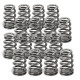 Části motoru SUPERTECH Valve Spring Set Toy 1JZ/2JZ | race-shop.cz