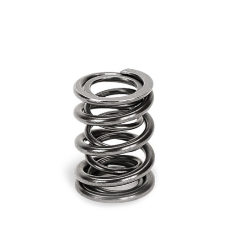 Části motoru SUPERTECH Valve Spring Set Audi 2.2L 5-cyl | race-shop.cz