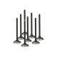 Části motoru SUPERTECH Valve Kit Exhaust Audi EA855 TTRS 28.00mm (Std) In | race-shop.cz