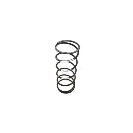 Accessories Garrett 898344-0004 Wastegate Spring GVW-40 (White) | race-shop.cz