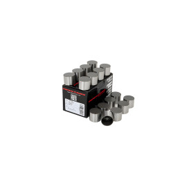 PIPER CAMS zdvihátka ventilů pro Peugeot/Citroën 1.9L 16v XU9J4 (mechanická)