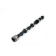 Části motoru Piper Camshaft Triumph 2.0/2.5 6-Cyl Race | race-shop.cz