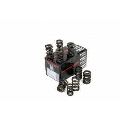 Piper Double Valve Springs BMC A Series