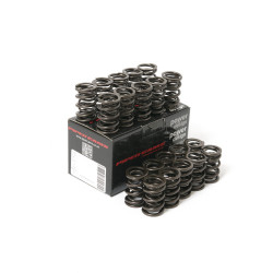 Piper Double Valve Springs Ford 2.5L 20v - ST/RS