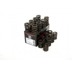 Piper Double Valve Springs Honda K20 I-VTEC