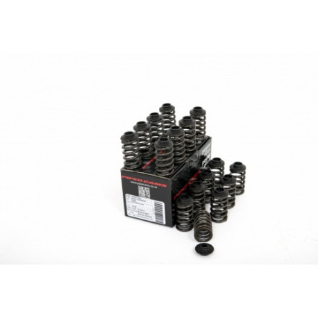 Části motoru Piper Single Valve Spring Kit Inc Caps Ford 2.0L 16v ST170 | race-shop.cz