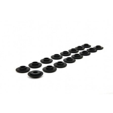 Části motoru Piper Spring Caps Ford 2.0L 16v ST170 | race-shop.cz