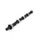 Části motoru Piper Camshaft Rover 3.5/3.9L V8 (Long Nose) Mild Road | race-shop.cz