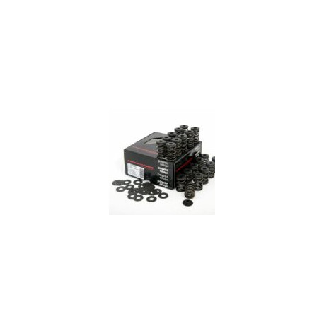 Části motoru Piper Double Valve Spring Kit Ford 2.5L 20v - ST/RS | race-shop.cz