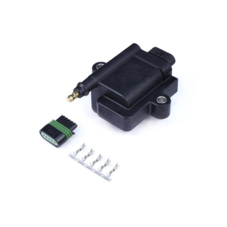 Haltech Haltech High Output IGN-1A Inductive Coil with built-in modu | race-shop.cz