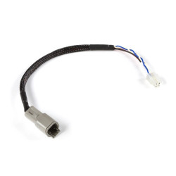 Haltech CAN Adaptor Loom (DTM-4 to Minifit Jr) Suits Microte