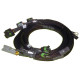 Haltech Haltech 8 Chan High Output Ignition Coil Harn Only GM/Chrysl | race-shop.cz
