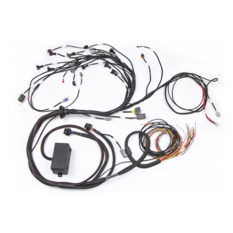 Haltech Haltech E2000/2500 RB Terminated Engine Harness Only | race-shop.cz