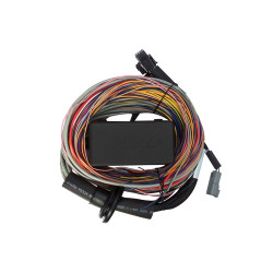 Haltech Elite 750 Premium Uni Wire-in Harness 2.5m (8`)