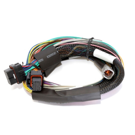 Haltech Haltech Elite 1500 - 2.5m (8 ft) Basic Uni Wire-in Harn Only | race-shop.cz