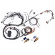 Haltech Haltech RB Twin CAM Main Harn, CAS Breakout, Early Ignition | race-shop.cz