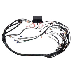 Haltech Elite 2000/2500 GM GEN III LS1 non DBW Term Harn Onl