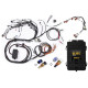 Motec Haltech RB Twin CAM Elite 2500 ECU, Main Harn, CAS Breakout, | race-shop.cz