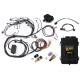 Motec Haltech RB Single Cam Elite 2500 ECU Harness Kit | race-shop.cz
