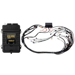 Haltech Elite 2500 GM GEN IV LS2 DBW Ready Term Harn Kit EV6