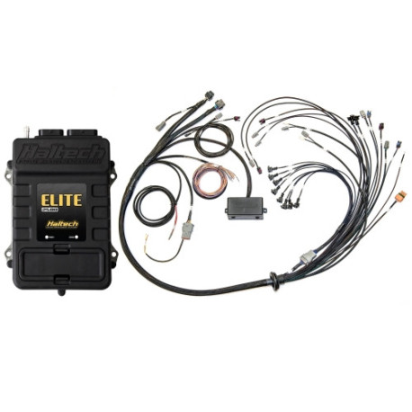 Haltech Haltech Elite 2500 V8 Big & Small Block Term Harn Kit - EV1 | race-shop.cz