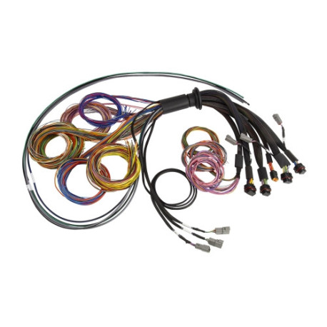 Haltech Haltech Nexus R5 Basic Universal Wire-In harness - 2.5M (8`) | race-shop.cz