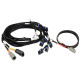 Haltech Haltech Nexus V8 IGN-1A GM/Chrysler Harness | race-shop.cz